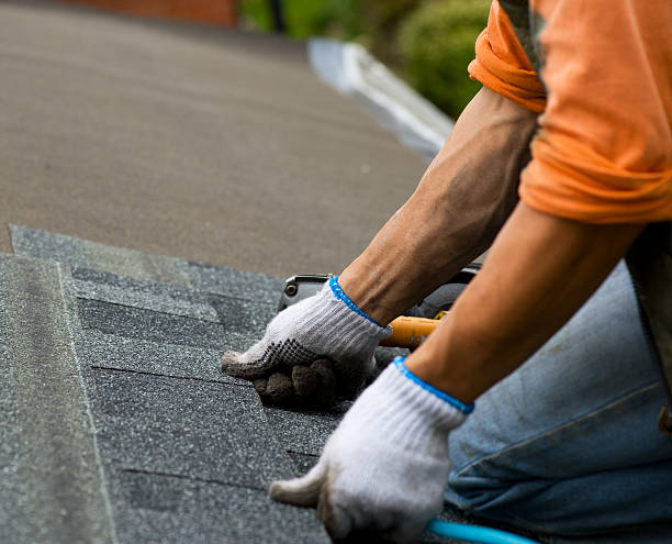 Best Roof Gutter Cleaning  in Blue Hills, CT